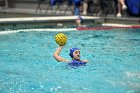 WWPolo vs CC  Wheaton College Women’s Water Polo compete in their sports inaugural match vs Connecticut College. - Photo By: KEITH NORDSTROM : Wheaton, water polo, inaugural